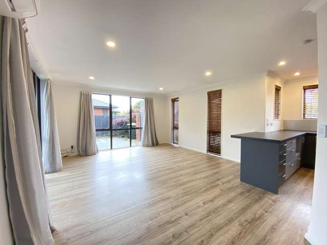 20 Rembrandt Drive Rolleston_2