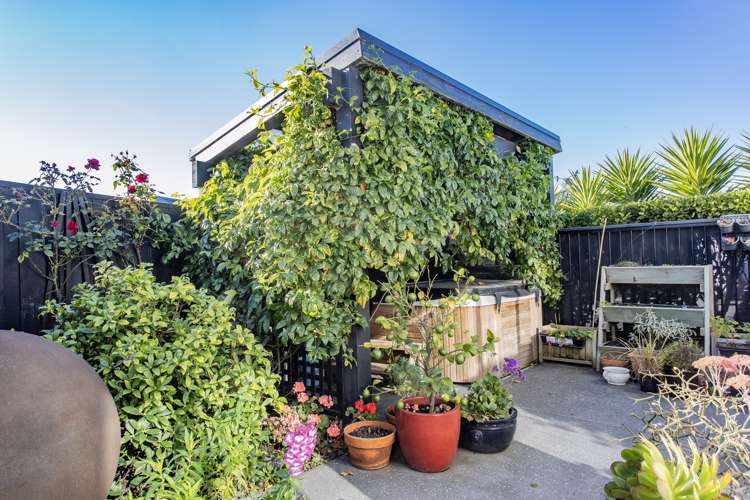 8 Te Kohanga Drive Pegasus_22