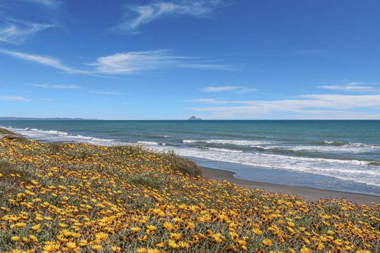 785 State Highway 35 Tirohanga_11