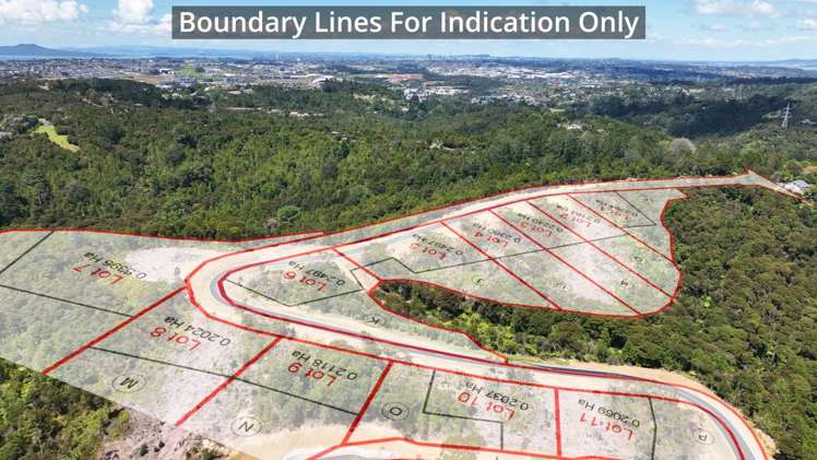 Albany Heights Road Dairy Flat_8