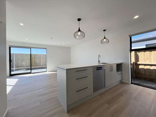 20 Mondo Drive 11103_3