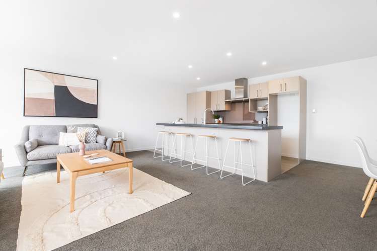 16 Millar Street Sydenham_12