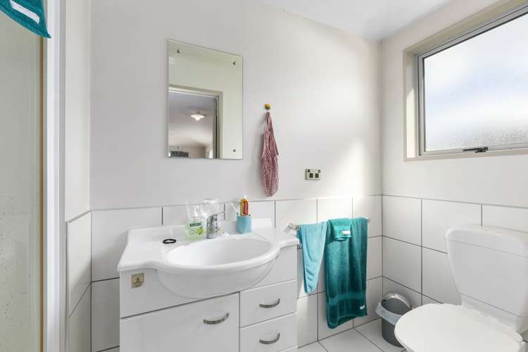 695 Castle Street North Dunedin_11