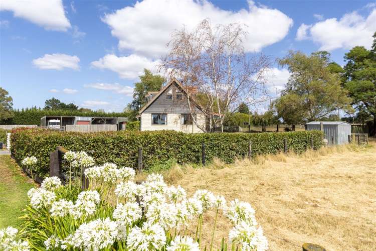 37 Marshmans Road Ashley_18