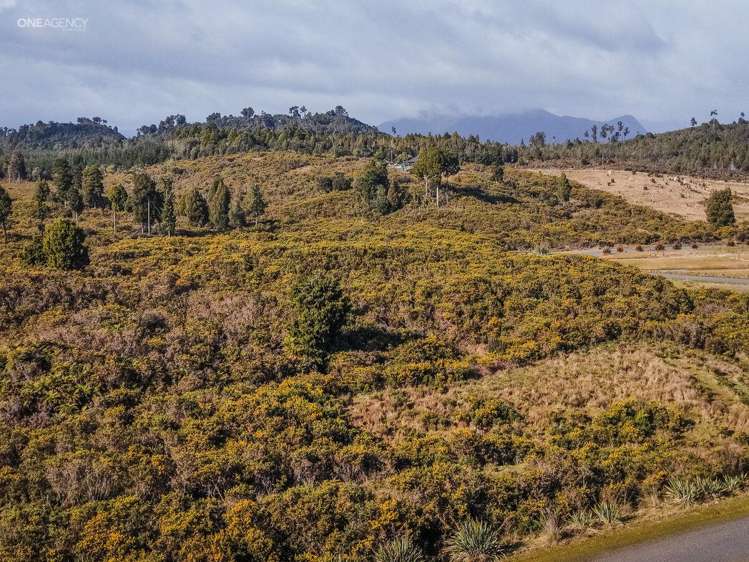 1128 Woodstock-Rimu Road_1