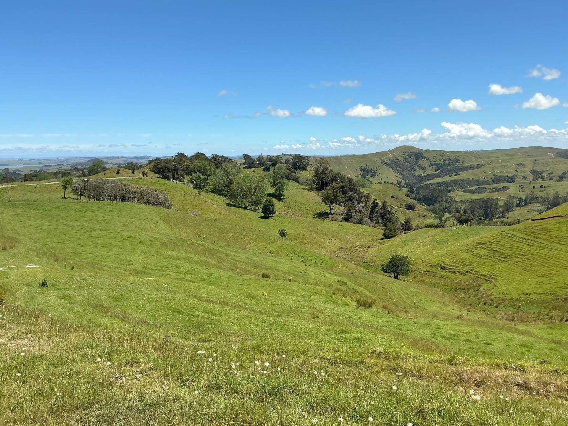 Lot 3 DP539905 Dill Road Kaipara Flats_0