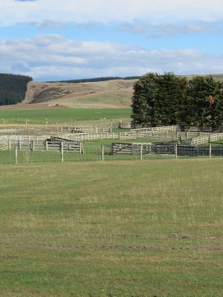 649 Kauru Hill Road Five Forks and Surrounds_31