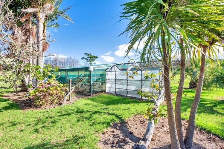 198a Devich Road Mangawhai_7