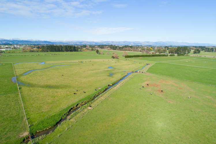 50 Nannestads Line Bunnythorpe_12