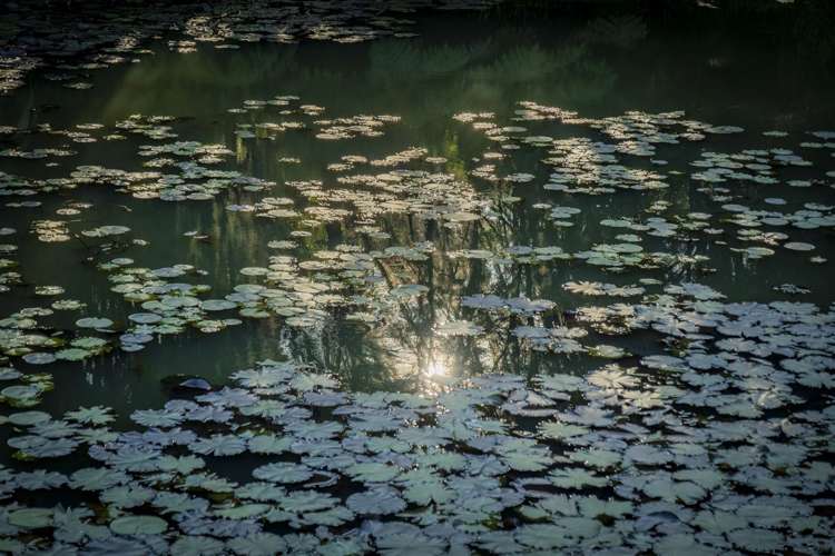 14 Ohuka Place Whitianga_18