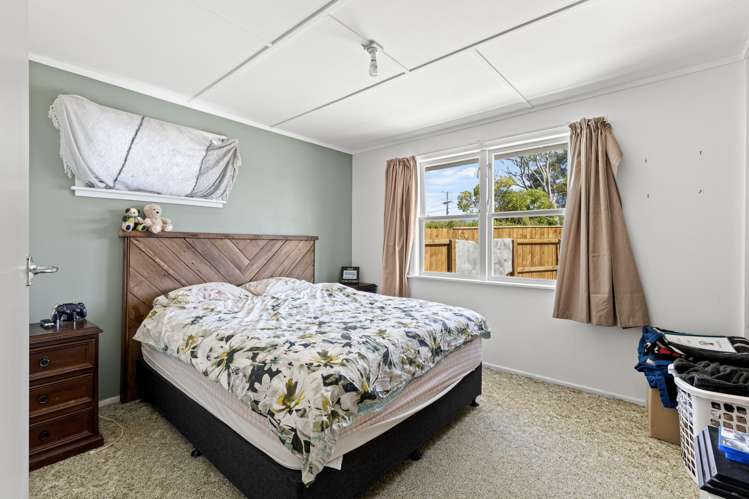 11 Flower Street Bulls_6