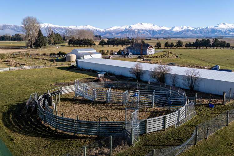 34 Clayton Road Fairlie_15