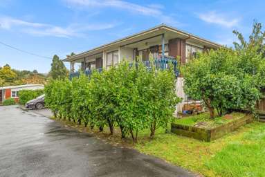 269B Kamo Road_2