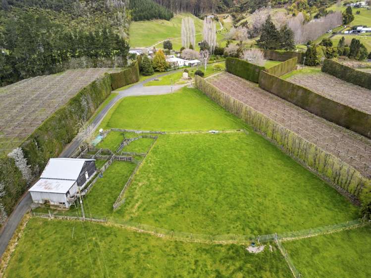 1022B No 3 Road Te Puke_25