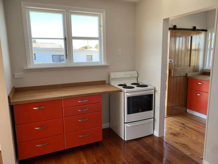  25 Flower Street Bulls_5