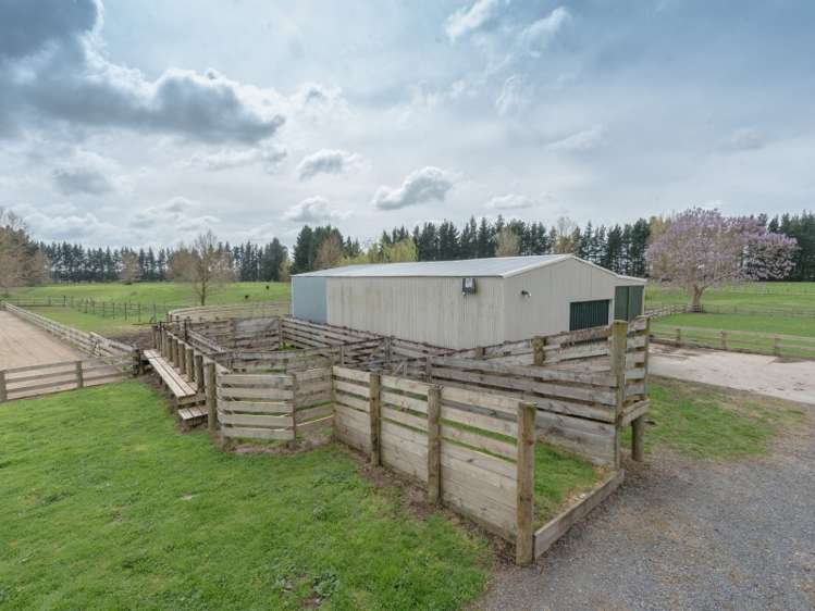 285 Kaipaki Road Ohaupo_19