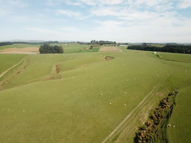 20 Carruthers Road Pomahaka_4