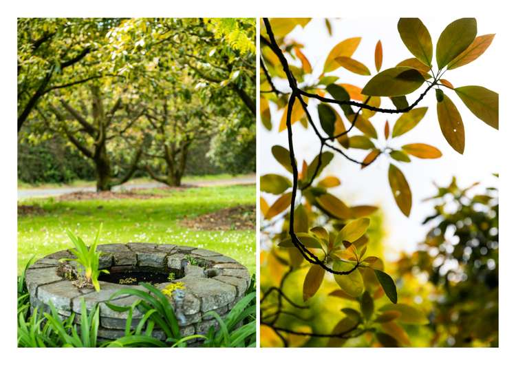 86b Pahoia Road Whakamarama_26