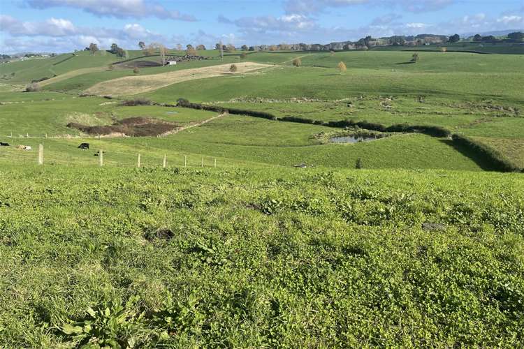 70 Smith Road Otorohanga_29