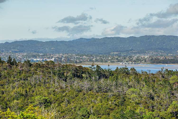 1/42 Waipa Street Birkenhead_20