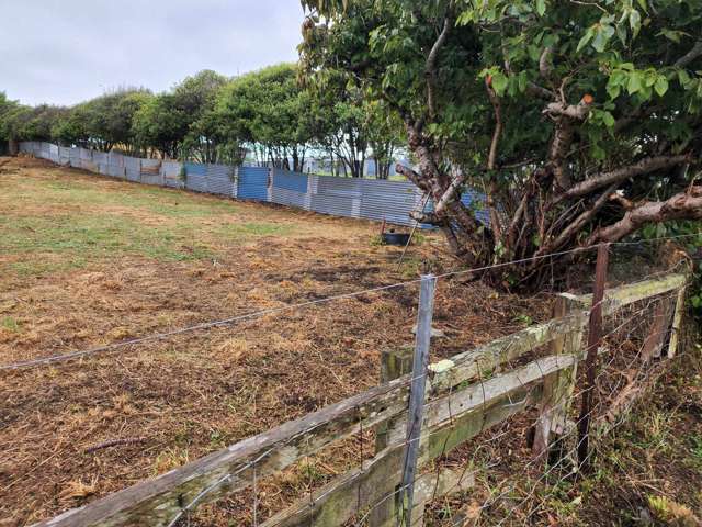 34 Brassey Street Waverley_4