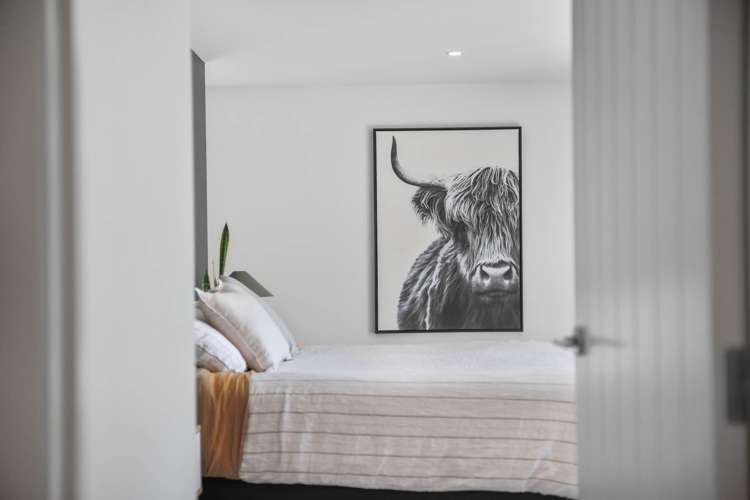 20 Whareatea Road Redwoodtown_14