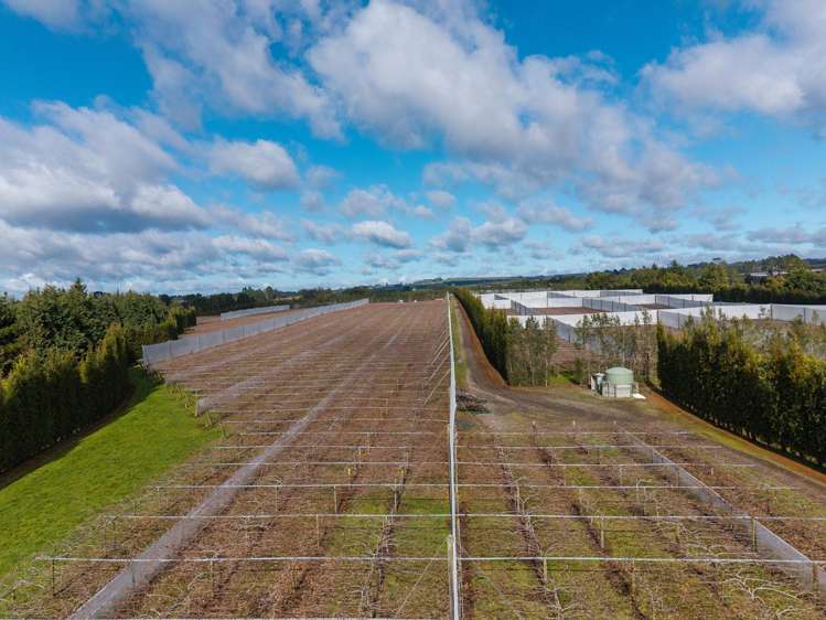 852 Rangiuru Road Rangiuru_29