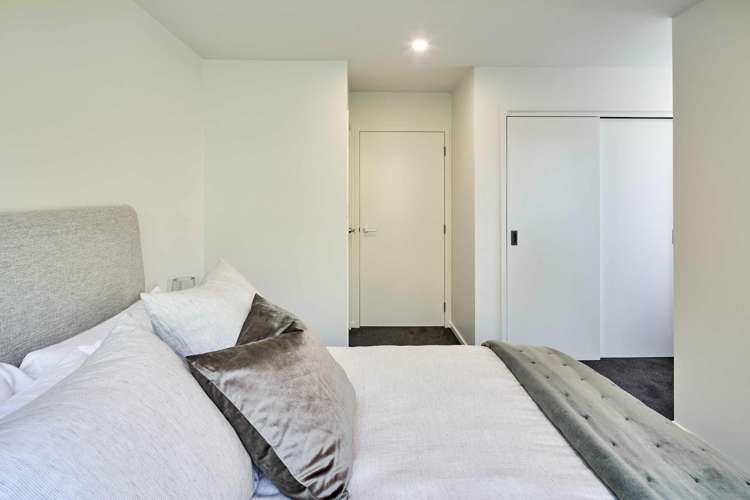 17 Ara Toutouwai Karori_12