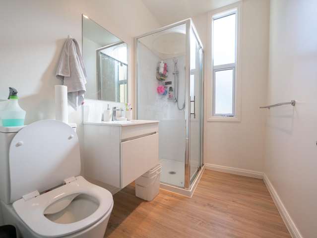 161 North Road North East Valley_4