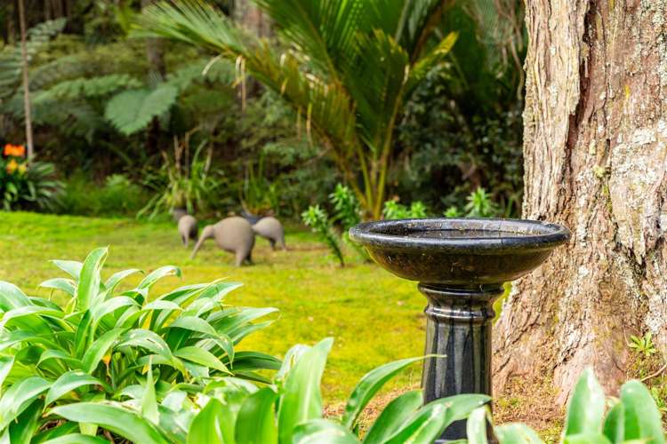 48b Wilson Road Warkworth_10