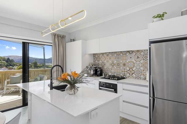 17 Judd Crescent Naenae_2