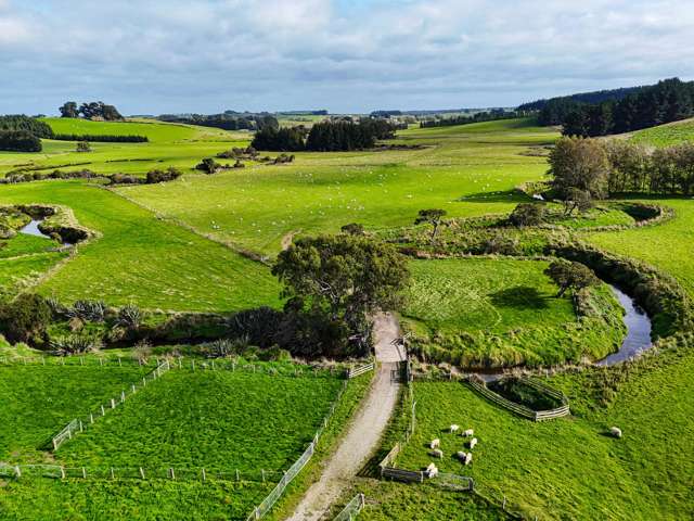 301 Waimahaka Fortification Road Waimahaka_1