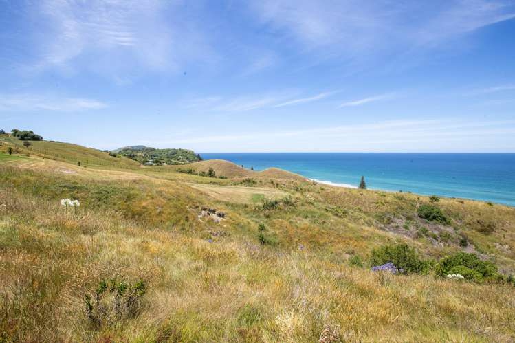 91 Winifred Street Okitu_16