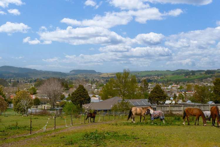 331 Clayton Road Pukehangi_4