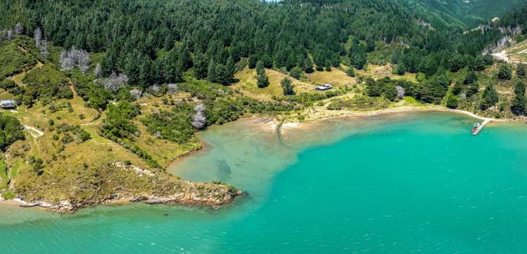 528 Oyster Bay Marlborough Sounds_59