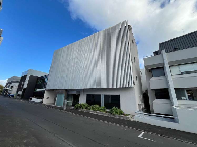 7 Falcon Street Parnell_11