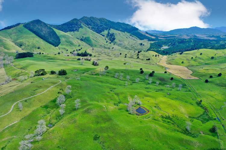 3688 State Highway 14 Tangiteroria_19