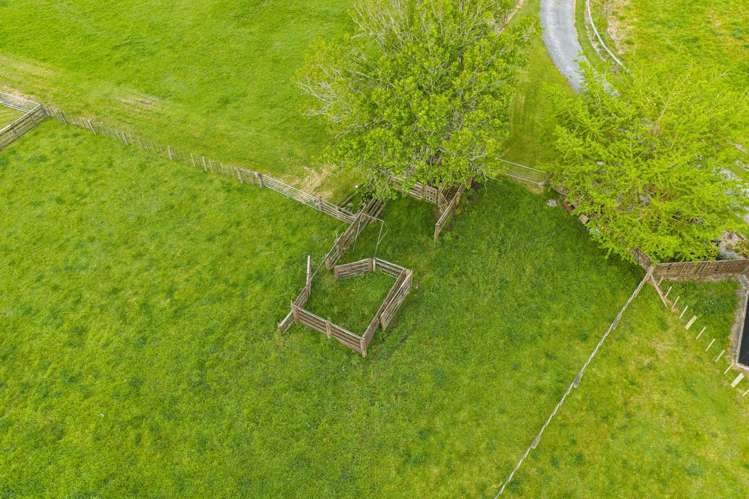 6835 State Highway 12 Dargaville_30