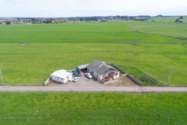 287 State Highway 1 Bulls_13