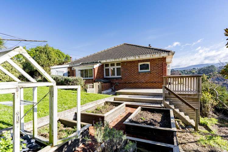 49 Sunbury Street Andersons Bay_33