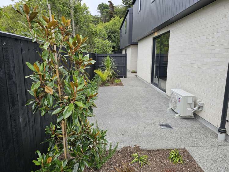 15 Ara Toutouwai Karori_17