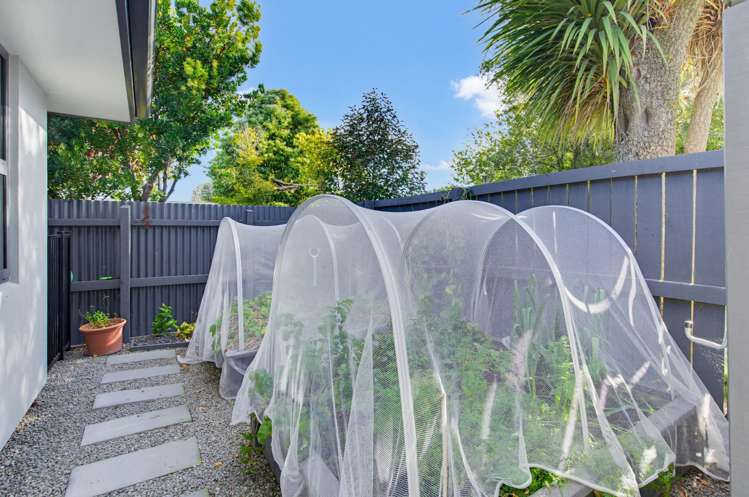 23c Elizabeth Street Allenton Allenton_28