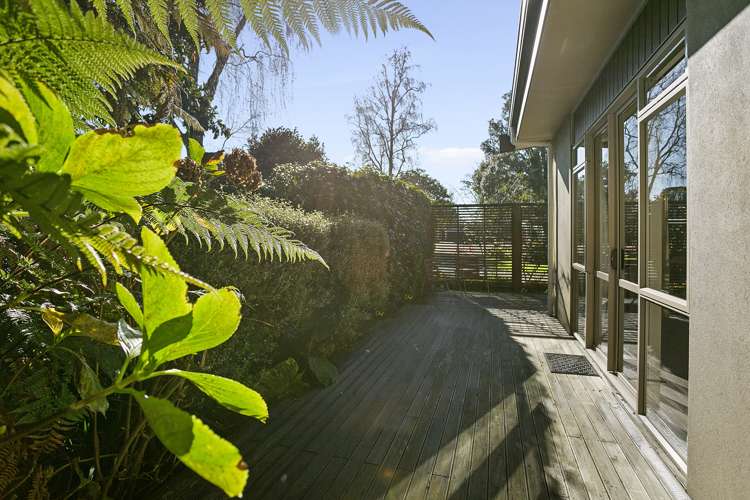 27c Hamilton Road Cambridge_4