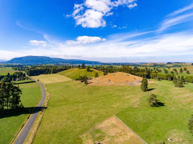 238 Brett Road Rerewhakaaitu_1