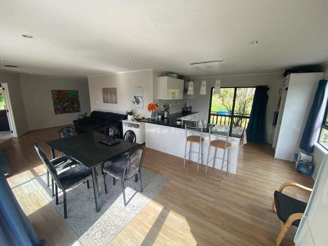 208 Green Road Dairy Flat_1