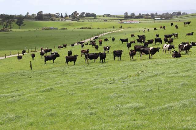 627 Inland North Road Onaero_4