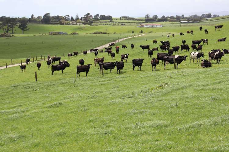 627 Inland North Road Onaero_4