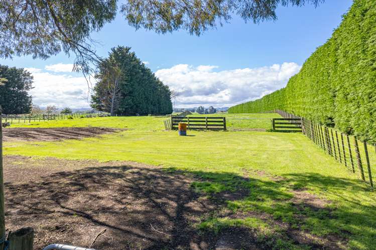 78a Lilybank Road Brunswick_8