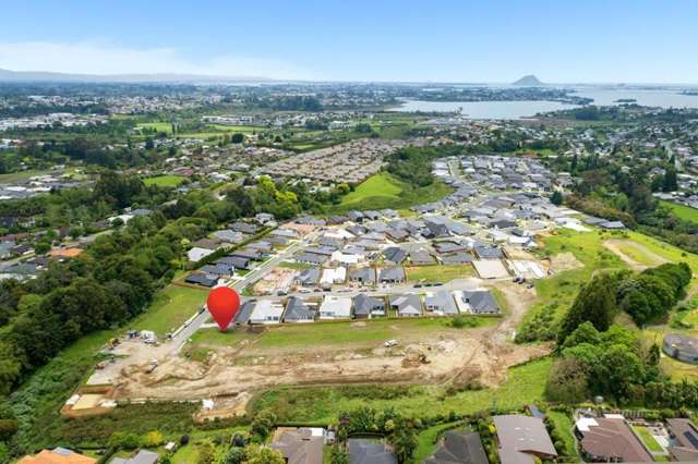 Lot 134, 95 Hass Drive, Quail Ridge Estate Ohauiti_2