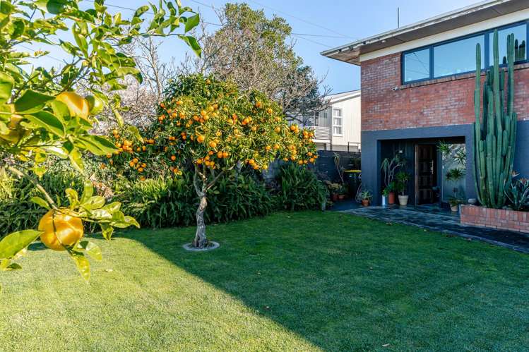 95 Newcastle Road Dinsdale_13